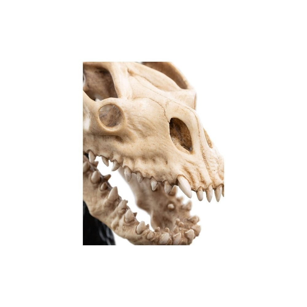 WETA - The Lord of the Rings Trilogy - Skull of a Fell Beast
