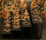 Warhold - Miniatures Display Stand