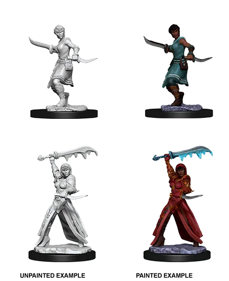 D&D Nolzurs Marvelous Unpainted Miniatures Female Human Rogue