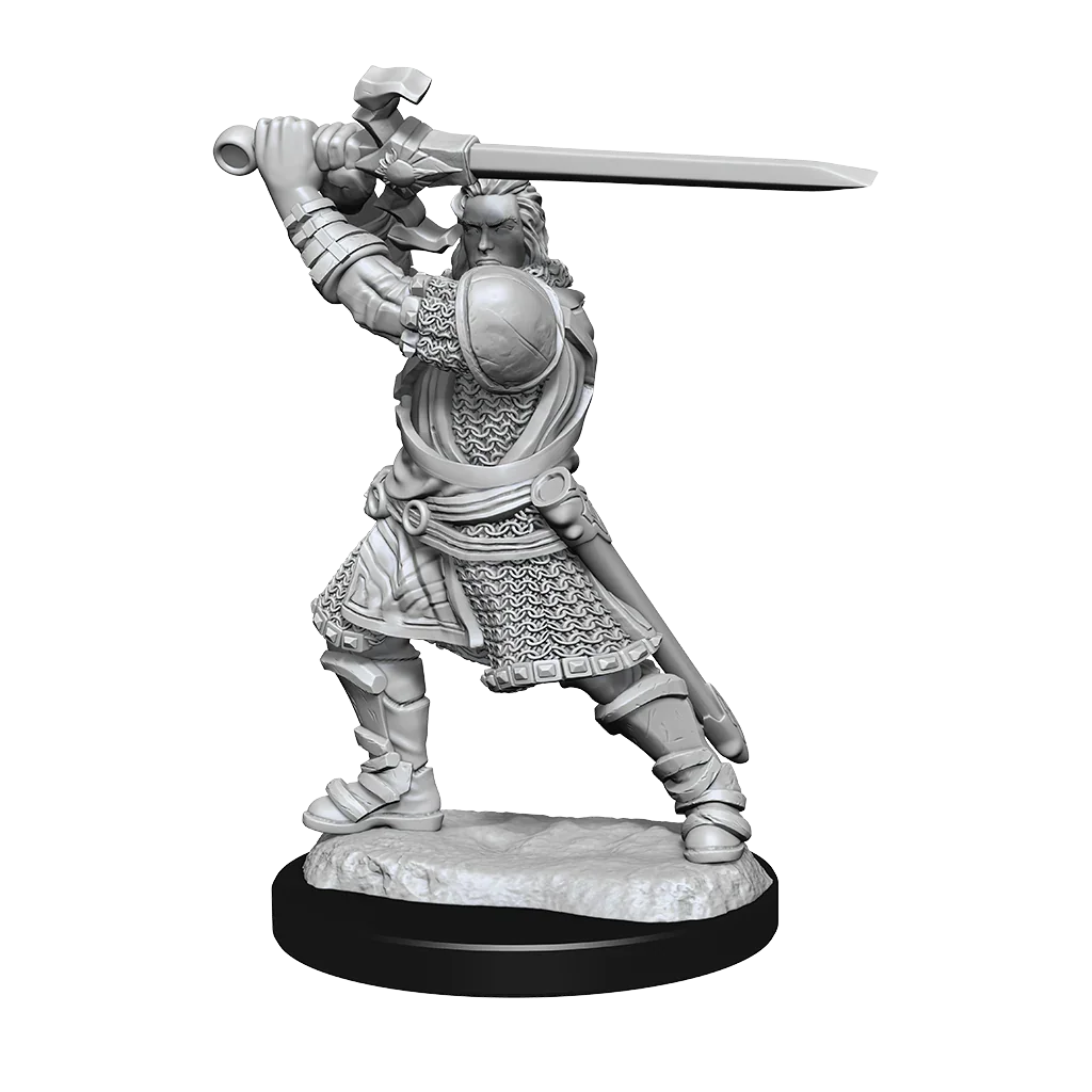 D&D Nolzurs Marvelous Unpainted Miniatures Human Paladin Male