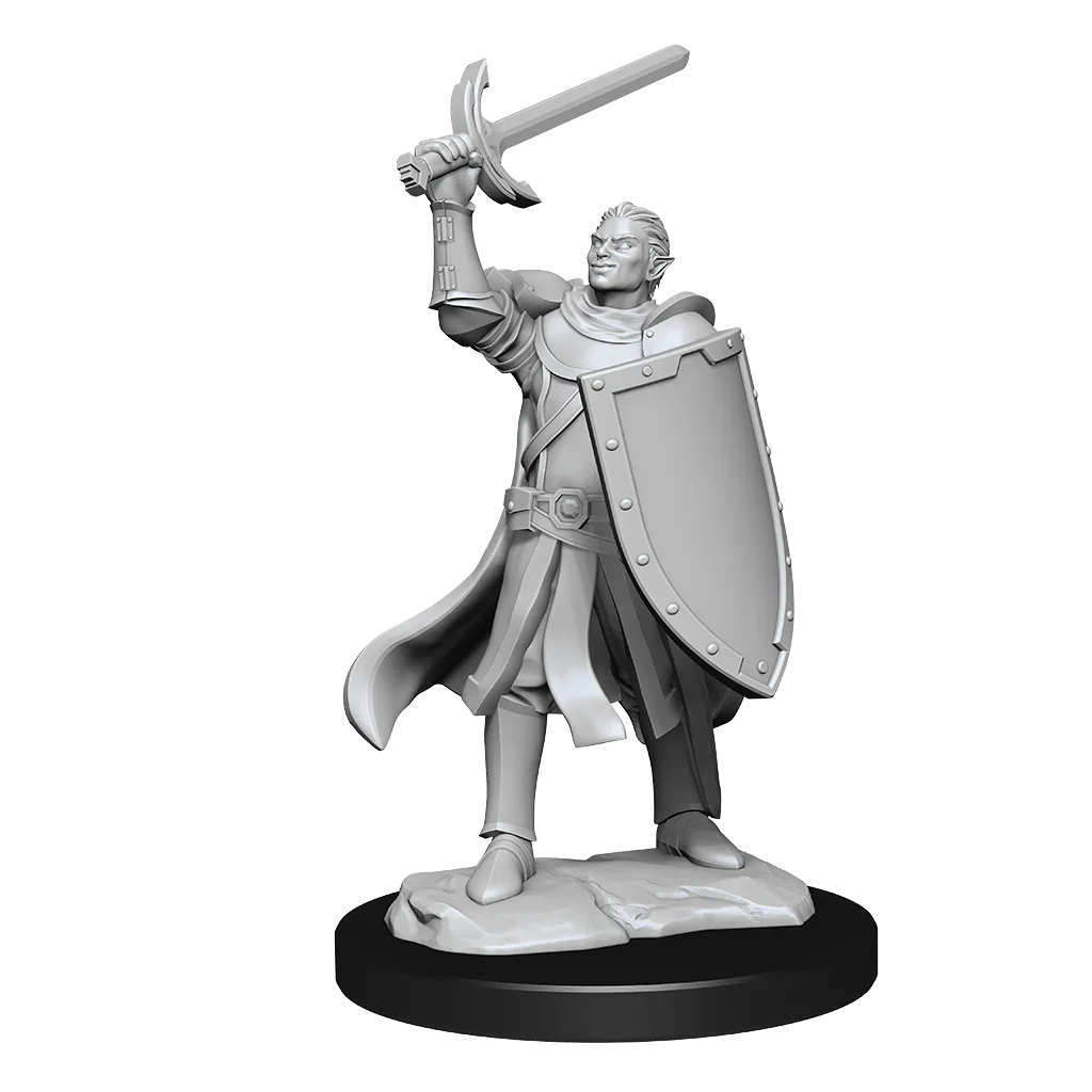 D&D Nolzurs Marvelous Unpainted Miniatures Half-Elf Paladin Male