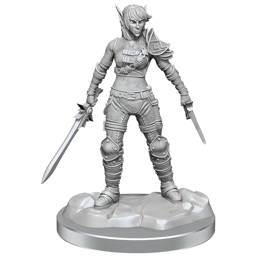 D&D Nolzurs Marvelous Miniatures Elf Rogue & Half-Elf Rogue Protege