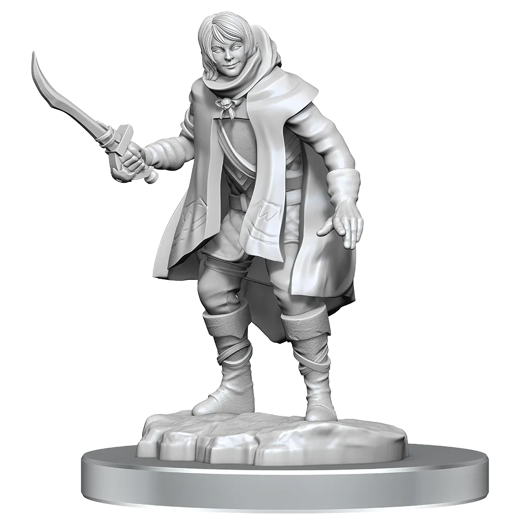 D&D Nolzurs Marvelous Miniatures Elf Rogue & Half-Elf Rogue Protege