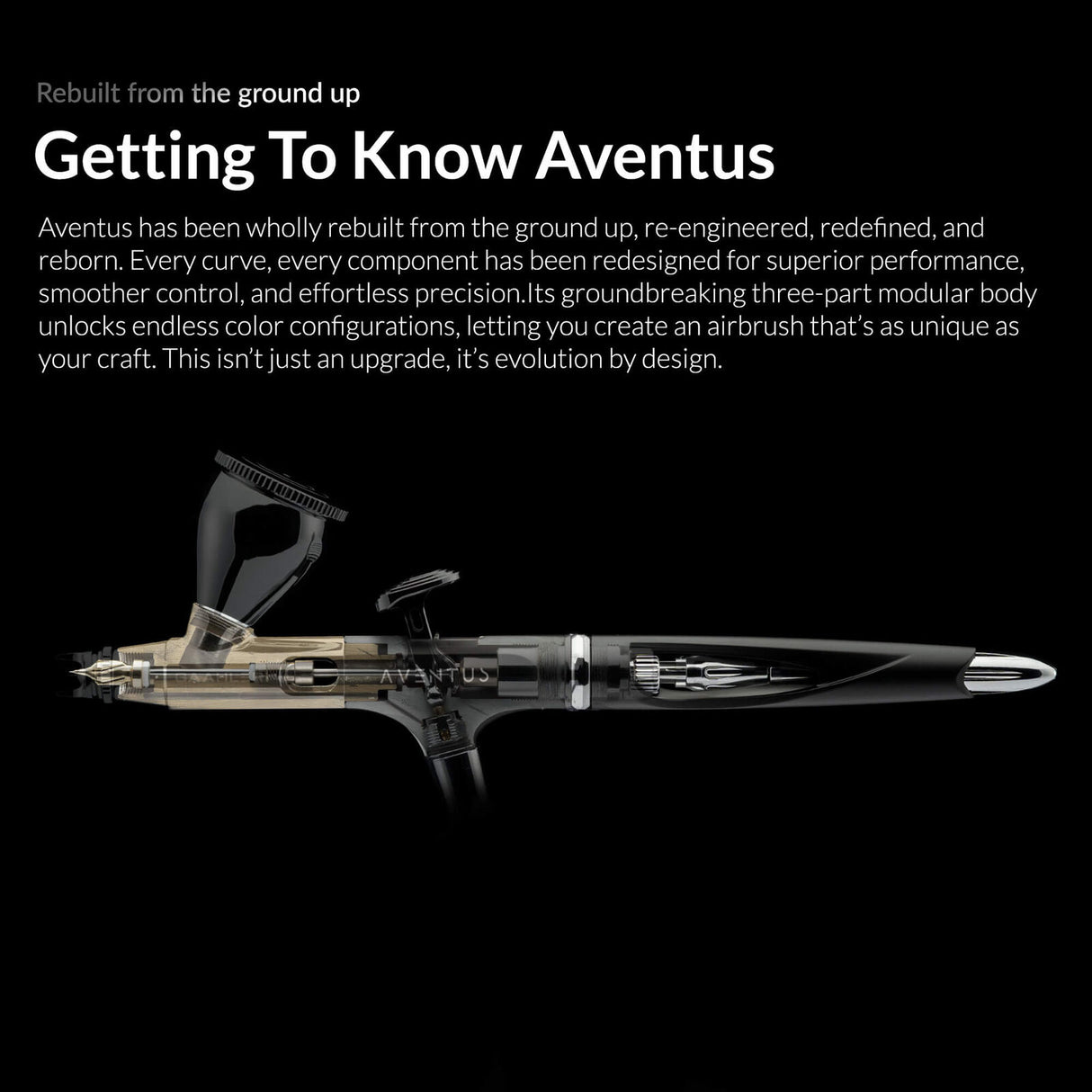 Gaahleri Aventus Black Aurora Airbrush