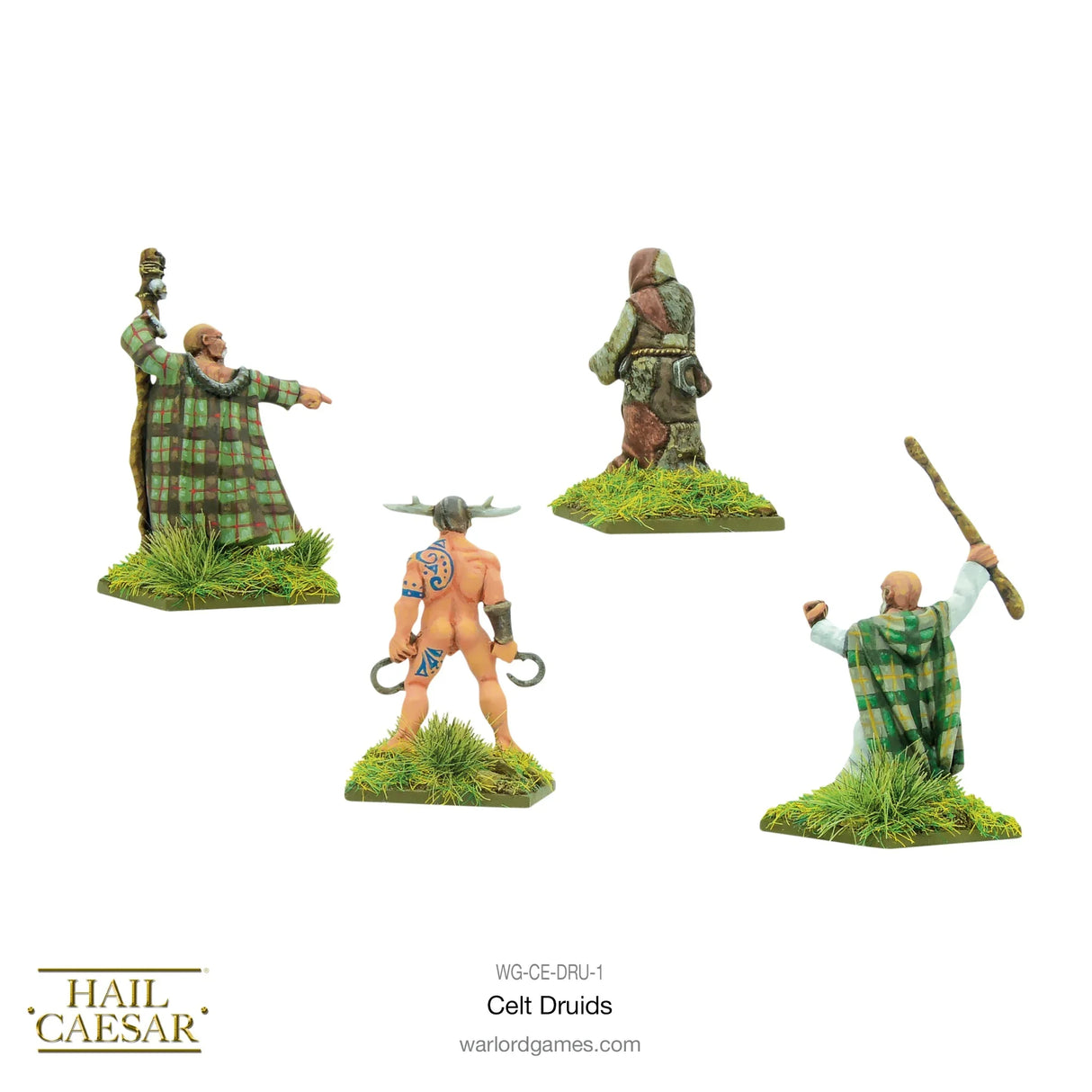 Ancient Celts: Druids