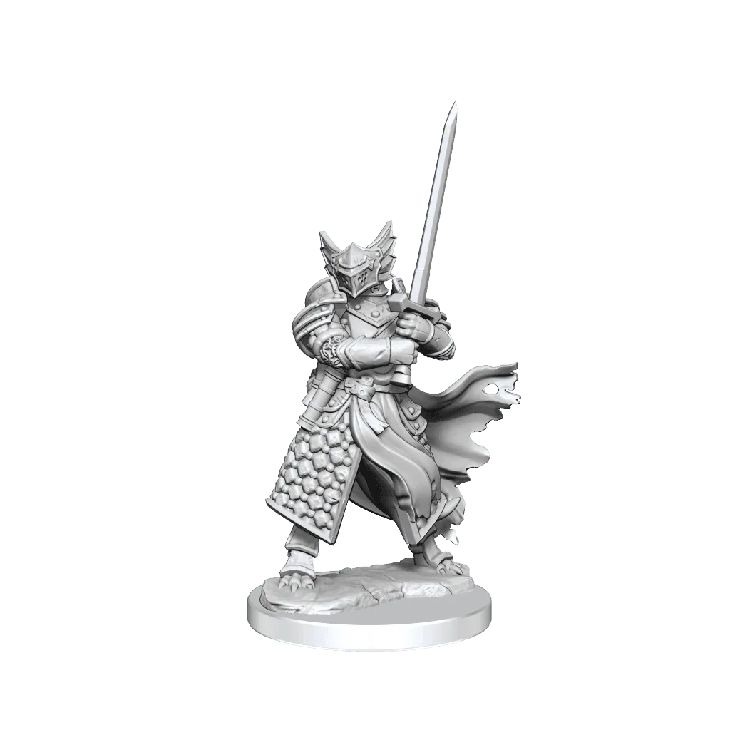D&D Frameworks Dragonborn Paladin Male - Gap Games
