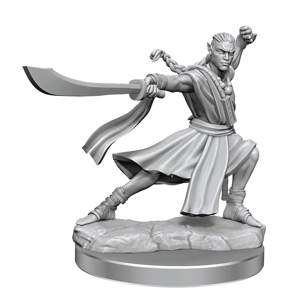 D&D Frameworks Elf Monk Male - Gap Games