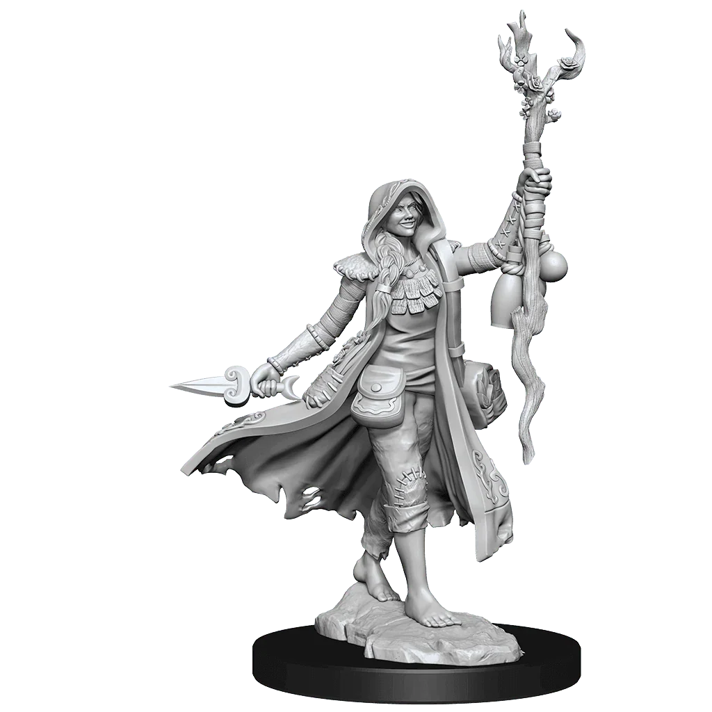 D&D Frameworks Human Druid Female - Gap Games