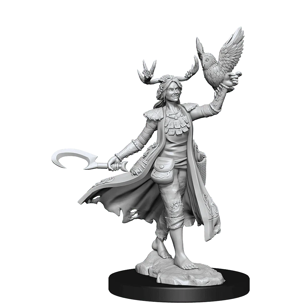 D&D Frameworks Human Druid Female - Gap Games
