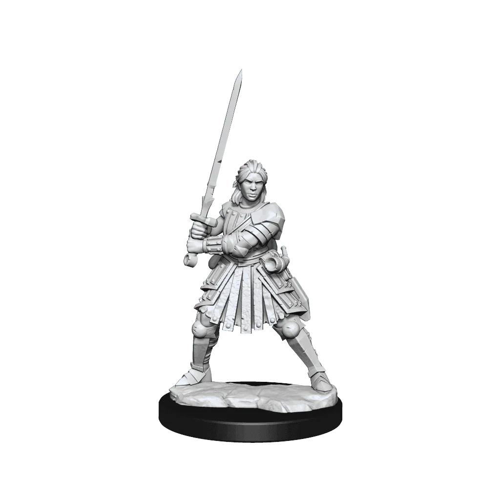 D&D Frameworks Human Fighter Female - Gap Games