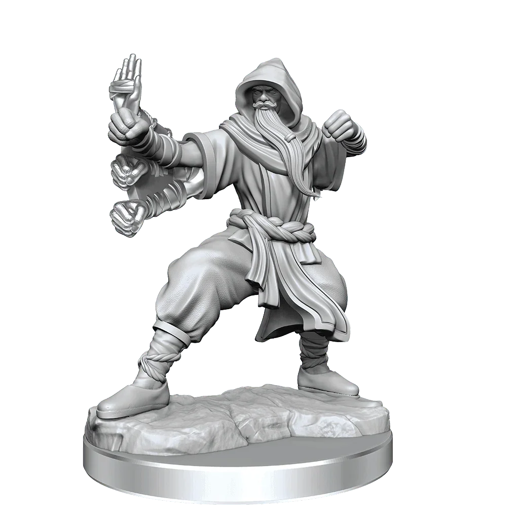 D&D Frameworks Human Monk Male - Gap Games