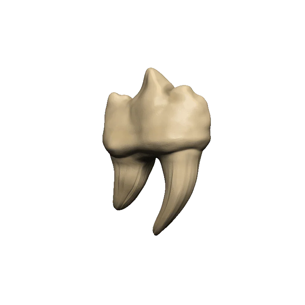 Dungeons & Dragons Teeth of Dahlver-Nar Bite-Sized Artifact - Gap Games