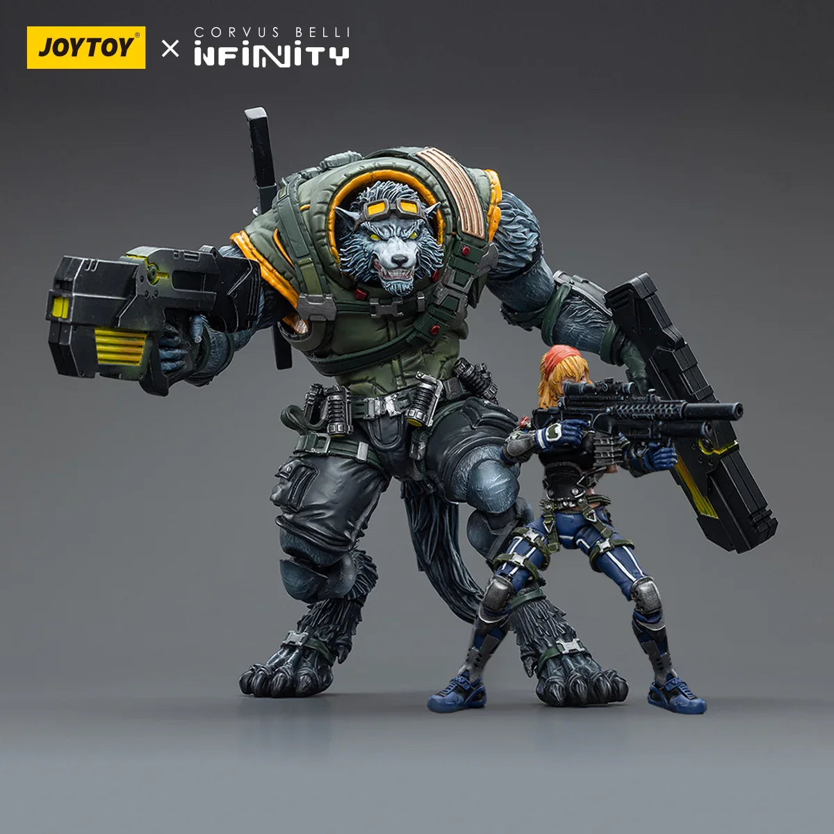 Infinity Collectibles: 1/18 Scale Ariadna Equipe Mirage-5