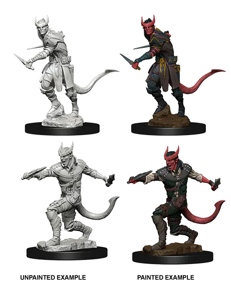 D&D Nolzurs Marvelous Unpainted Miniatures Tiefling Male Rogue