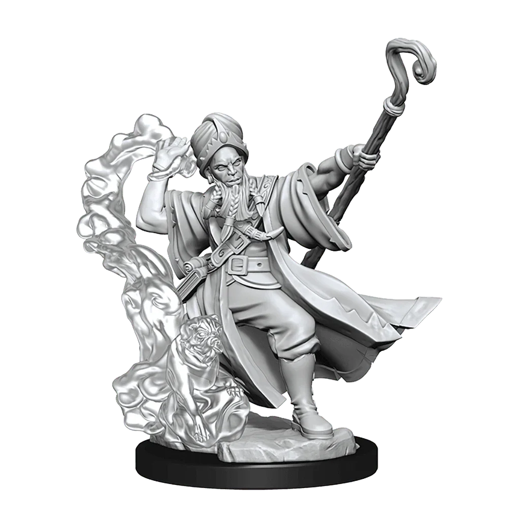 D&D Frameworks Human Wizard Male - Gap Games