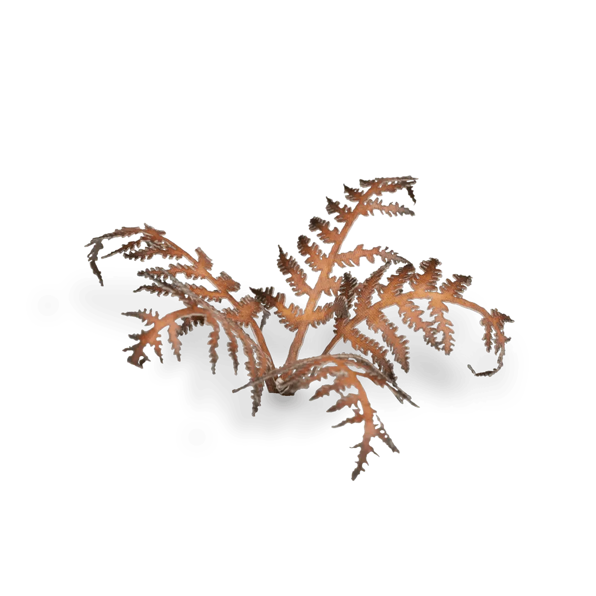 Laser Plants - Dry Bracken - Gap Games