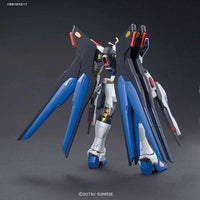 1/144 HG STRIKE FREEDOM GUNDAM - Gap Games