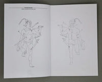 Dungeon Crawl Classics - DCC Digest Sized Character Folio
