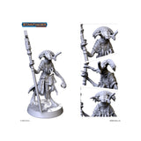 Starfinder Masterclass Miniatures: Kaskodai The Mystic
