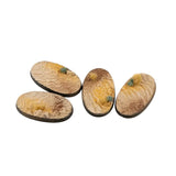 Gamers Grass - Battle Ready Bases - Deserts of Maahl - Oval 60mm (x4)