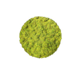 Krautcover Scenics - Static Grass Spring 2mm (140ml) - Pre-Order