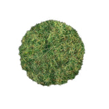 Krautcover Scenics - Static Grass Summer 6mm (140ml) - Pre-Order
