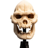 WETA - The Lord of the Rings Trilogy - Skull of Lurtz