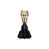 WETA - The Lord of the Rings Trilogy - Skull of a Fell Beast
