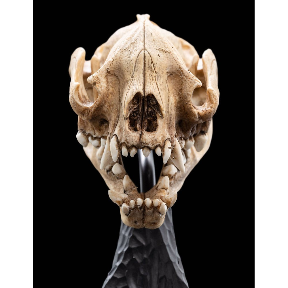 WETA - The Lord of the Rings Trilogy - Skull of a Warg