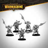 Warmachine Direct Cygnar Storm Legion/Gravediggers Stormguard Legionnaires