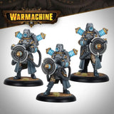 Warmachine Direct Cygnar Storm Legion/Gravediggers Storm Vanes
