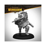 Warmachine Direct Dusk House Kallyss Variant Mage Hunter Commander