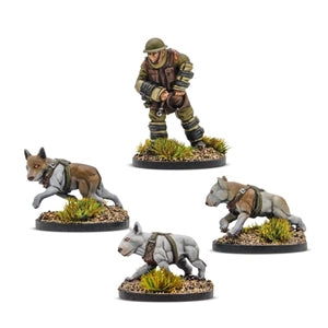 Konflikt '47 - British Commonwealth Cerberus Squad 1