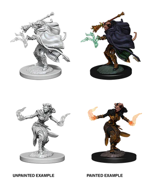D&D Nolzurs Marvelous Unpainted Miniatures Female Tiefling Warlock