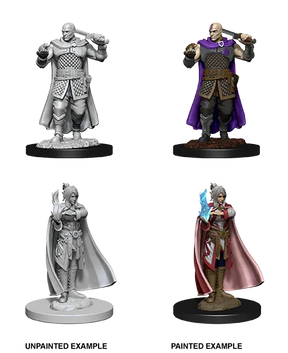 D&D Nolzurs Marvelous Unpainted Miniatures Human Ranger & Moon Elf Sorcerer