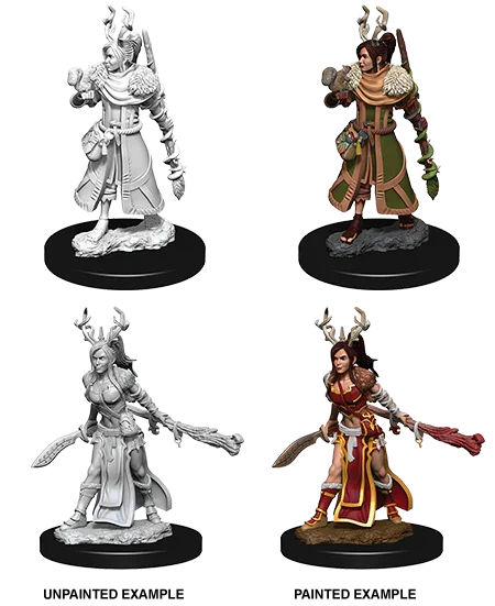 D&D Nolzurs Marvelous Unpainted Miniatures Female Human Druid