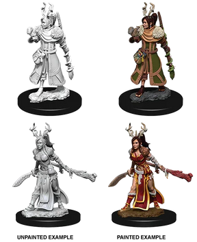 D&D Nolzurs Marvelous Unpainted Miniatures Female Human Druid