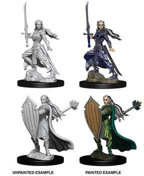 D&D Nolzurs Marvelous Unpainted Miniatures Female Elf Paladin