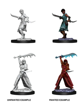 D&D Nolzurs Marvelous Unpainted Miniatures Female Human Rogue
