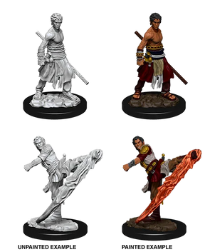 D&D Nolzurs Marvelous Unpainted Miniatures Male Half-Elf Monk