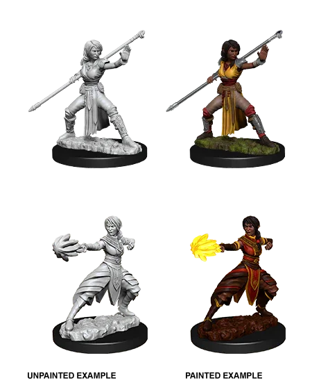 D&D Nolzurs Marvelous Unpainted Miniatures Female Half-Elf Monk