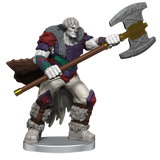 Critical Role NPCs of Tal'Dorei - Set 1