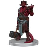 Critical Role NPCs of Exandria - Set 1