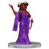 Critical Role NPCs of Wildemount