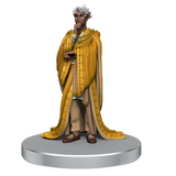 Critical Role NPCs of Wildemount