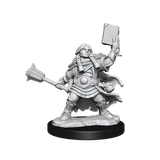 D&D Frameworks Dwarf Cleric Female