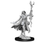 D&D Frameworks Human Druid Female