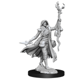 D&D Frameworks Human Druid Female