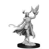 D&D Frameworks Human Druid Female