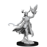 D&D Frameworks Human Druid Female